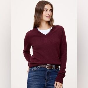 Banana Republic V Neck Merino Sweater, Small